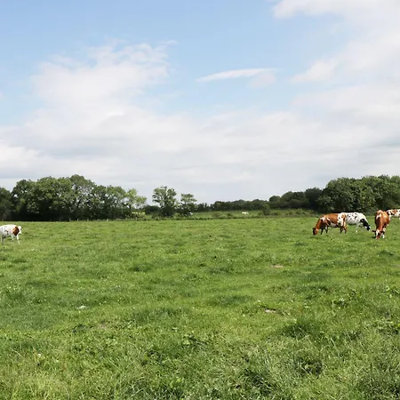 Piggery 펜션 Wigton